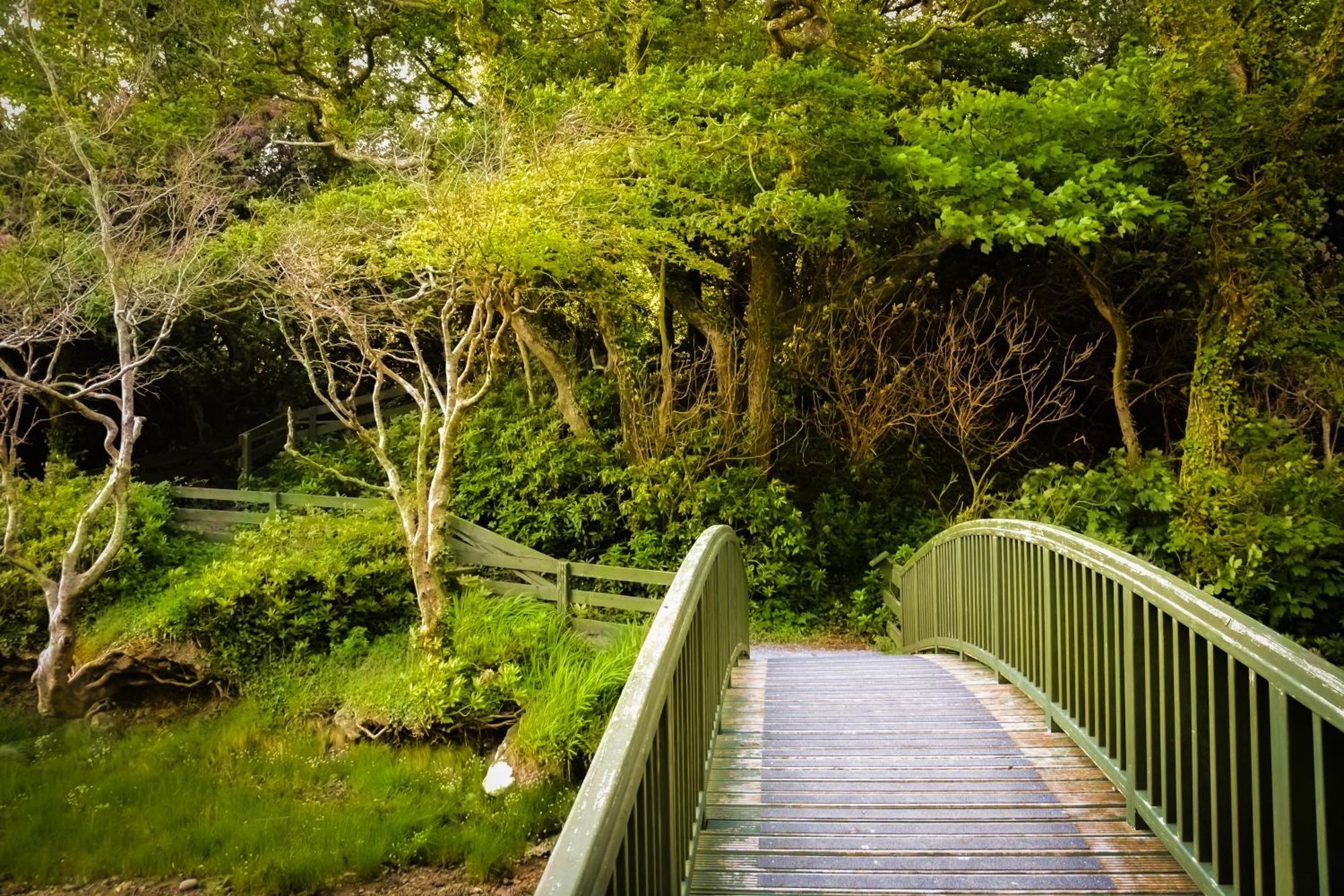 Parknasilla Resort & Spa Sneem Zewnętrze zdjęcie