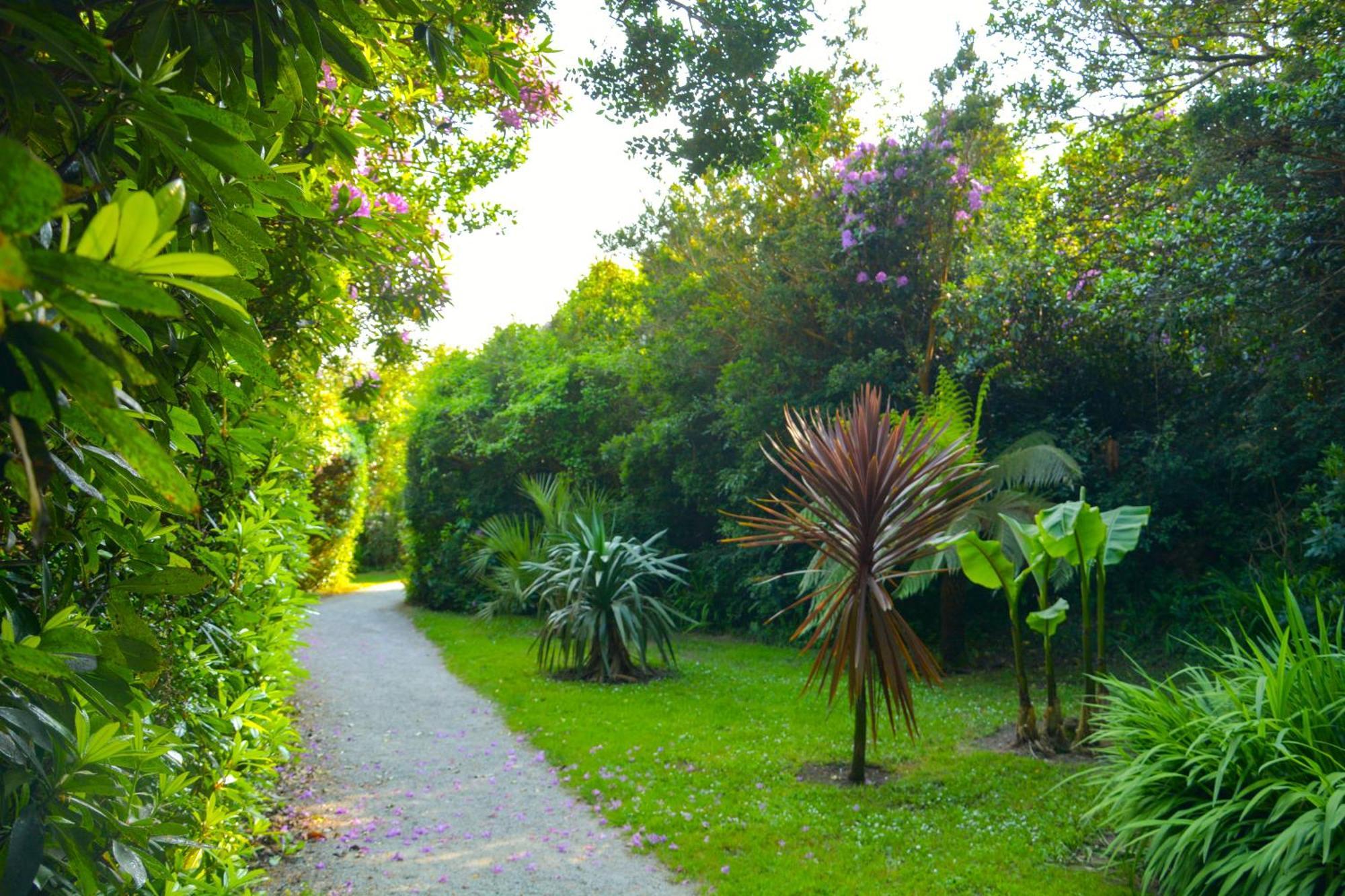 Parknasilla Resort & Spa Sneem Zewnętrze zdjęcie